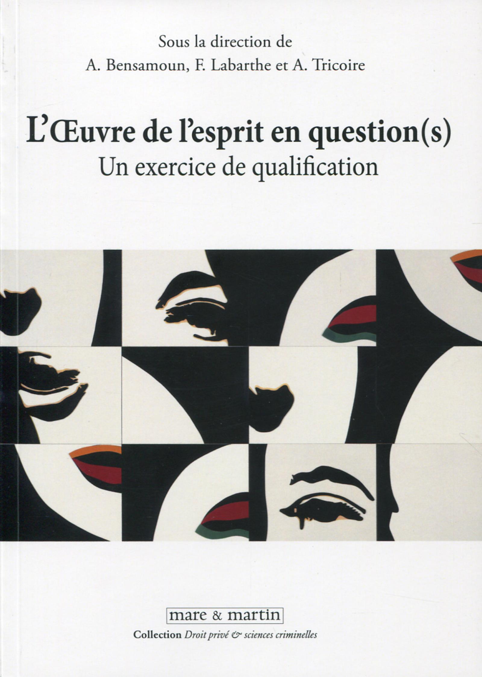 L'oeuvre de l'esprit en questions (s)