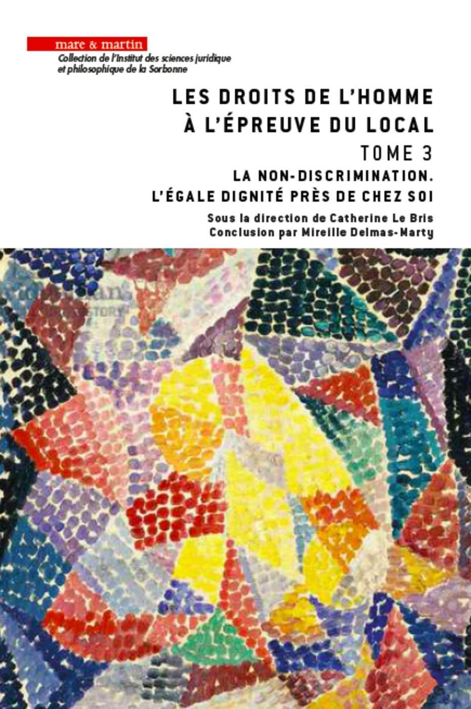 Les droits de l'homme à l'épreuve du local - Tome 3