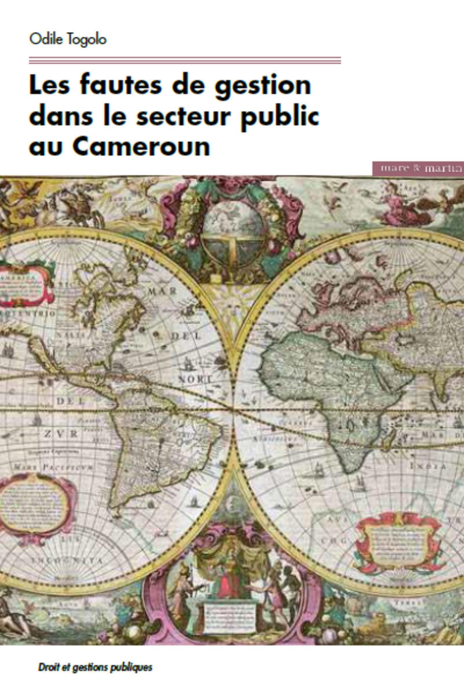 Les fautes de gestion dans le secteur public au Cameroun
