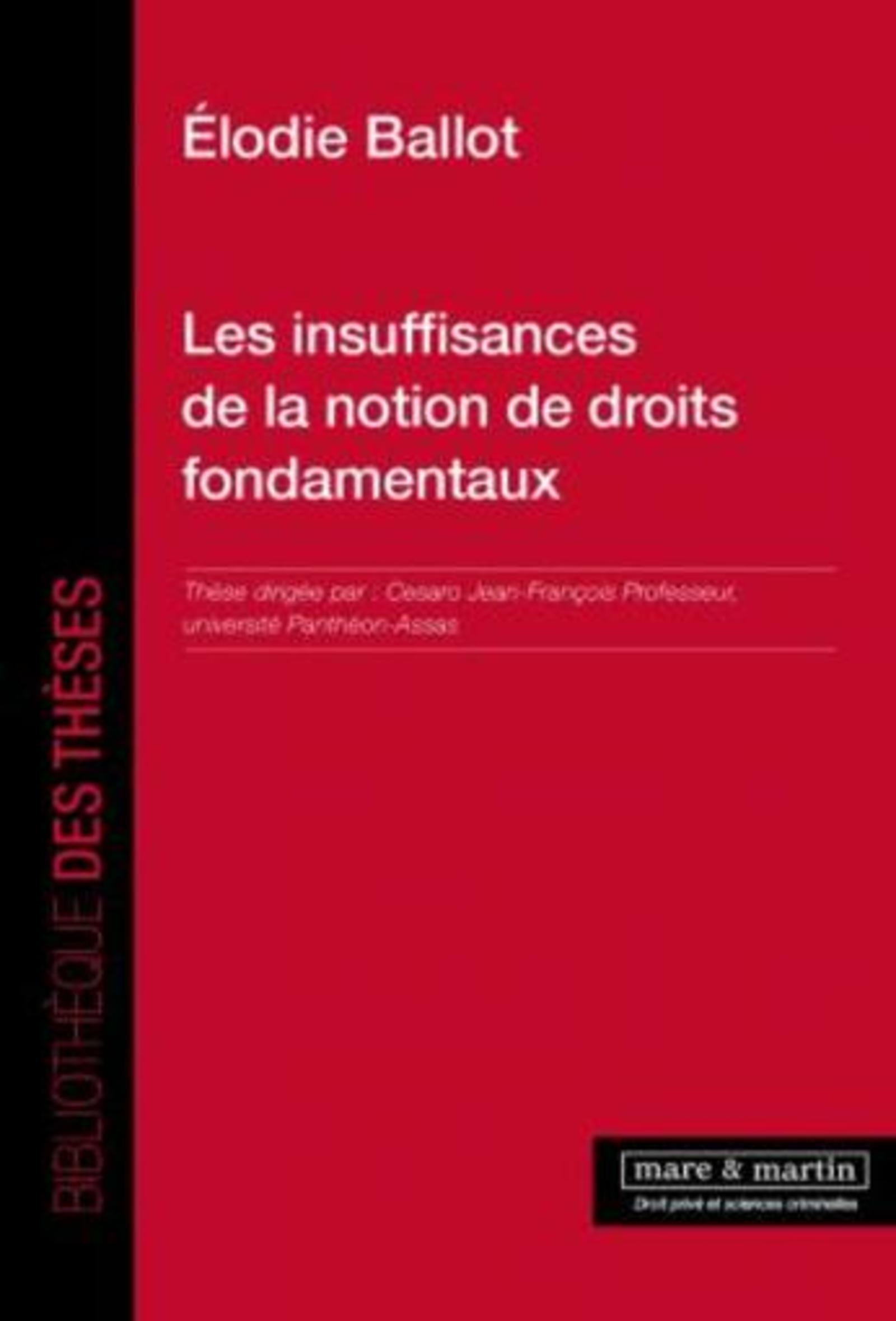 Les insuffisances de la notion de droits fondamentaux
