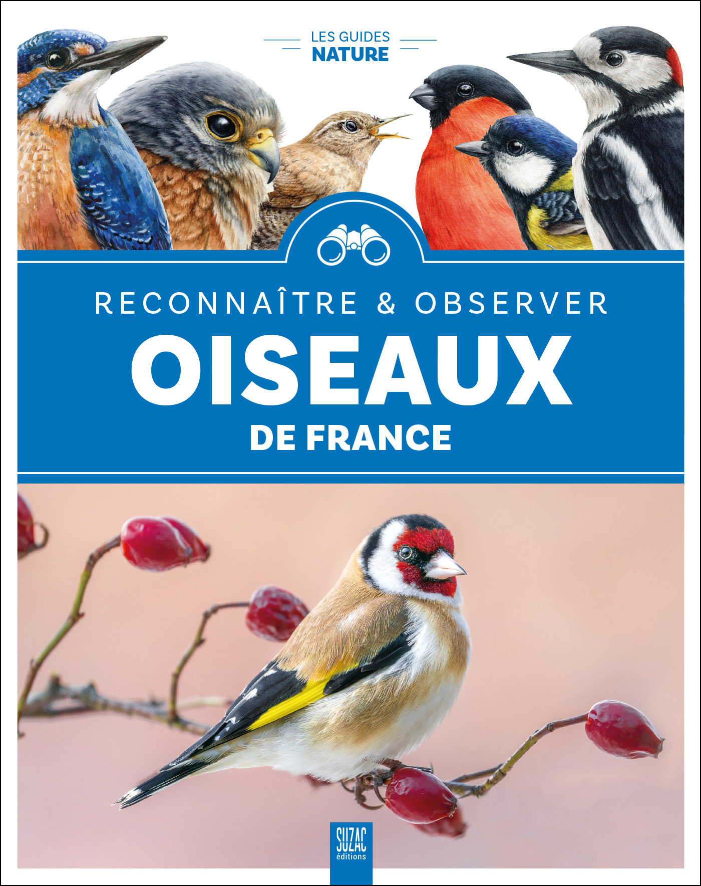 Oiseaux de France, reconnaître & observer