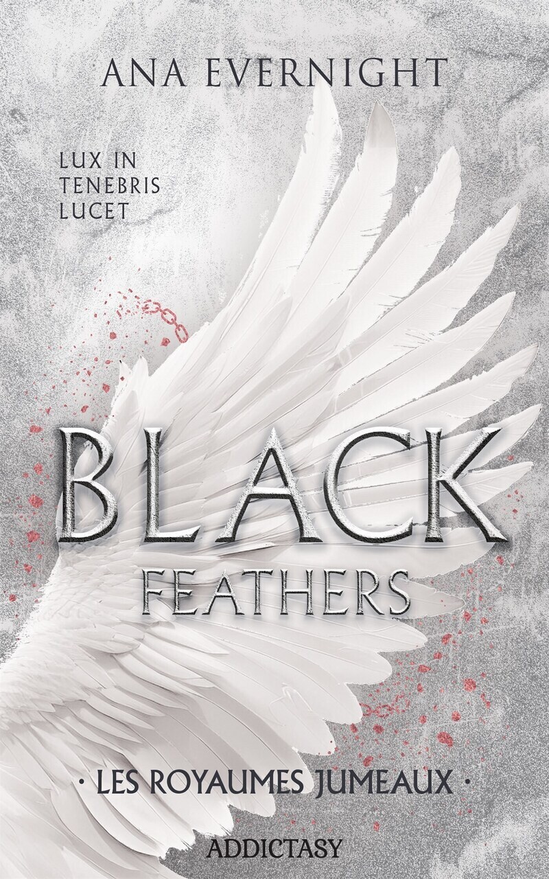 Black Feathers - Tome 3 Les Royaumes jumeaux