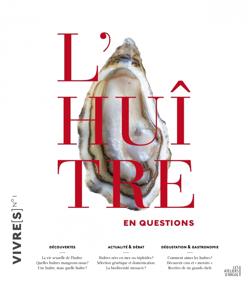 L'huitre en questions