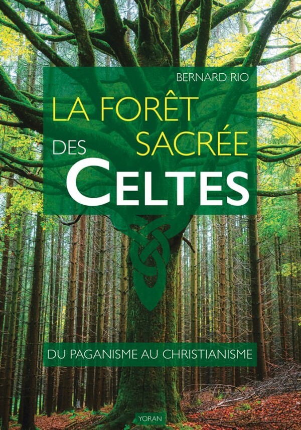 La forêt sacrée des Celtes