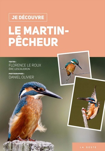 JE DECOUVRE LE MARTIN PECHEUR (BP)