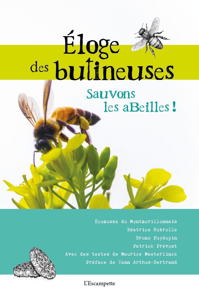 Éloge des butineuses