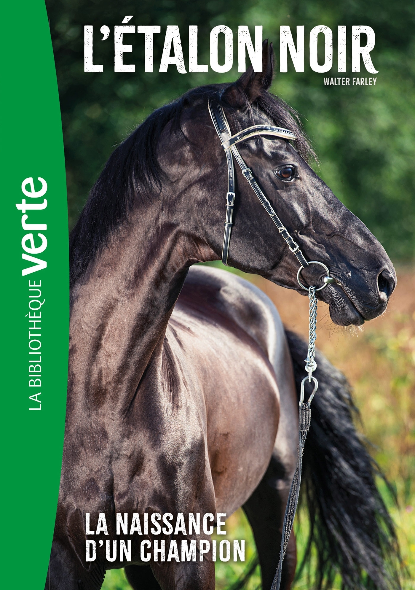 L'Etalon noir NED 19