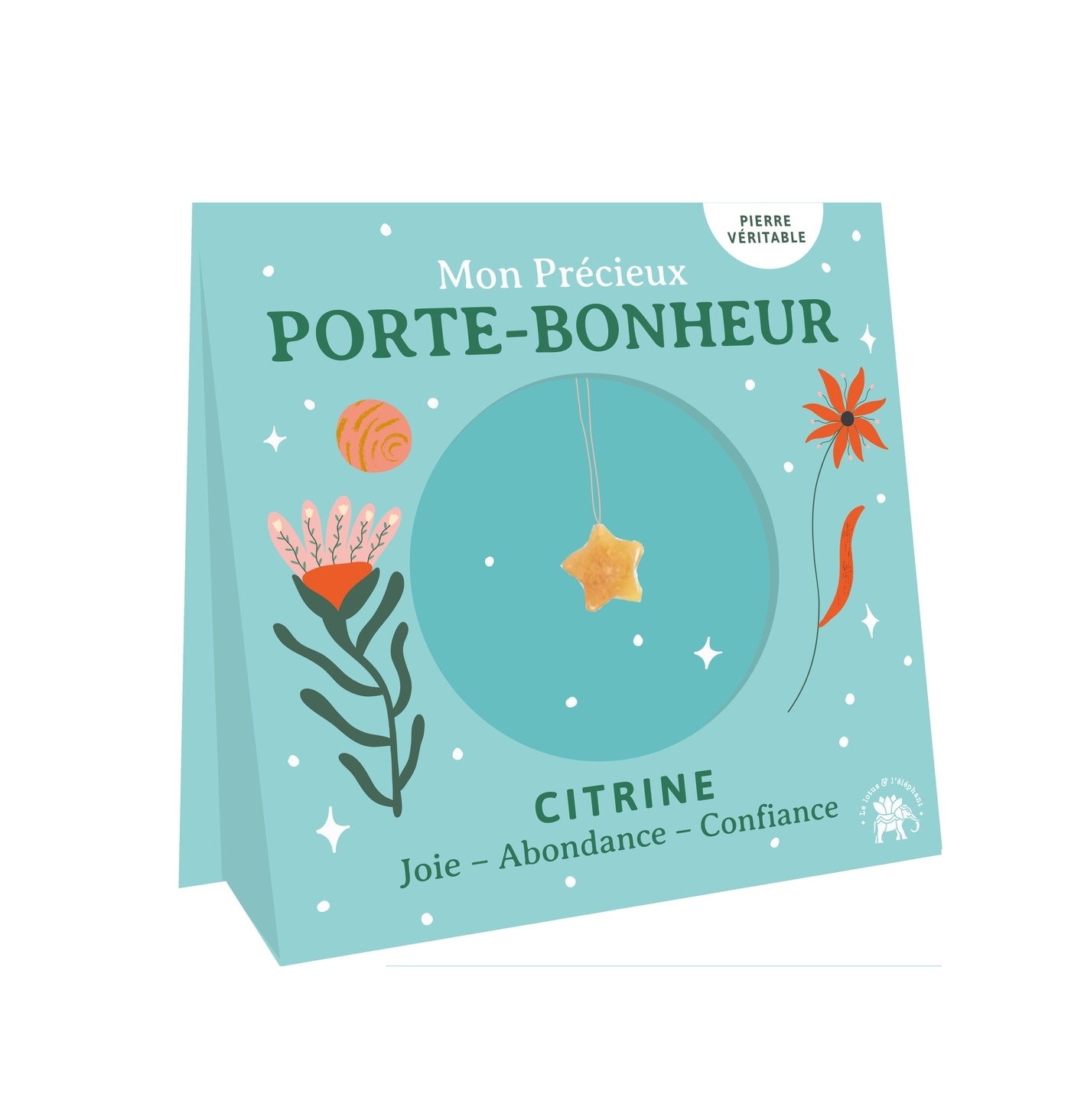 Mon précieux porte-bonheur - Etoile