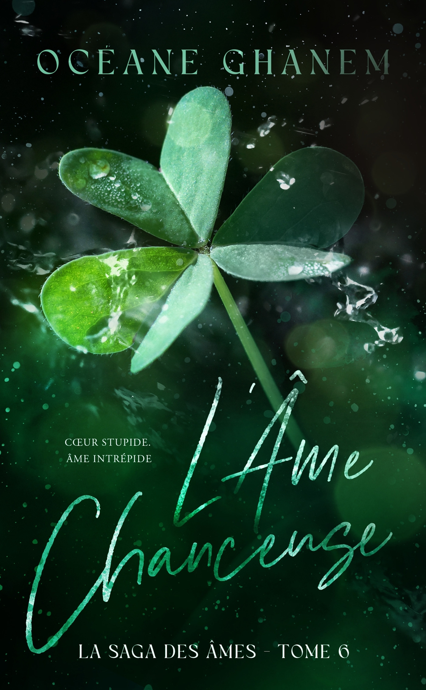 L'Âme Chanceuse - Saga des Âmes Tome 6