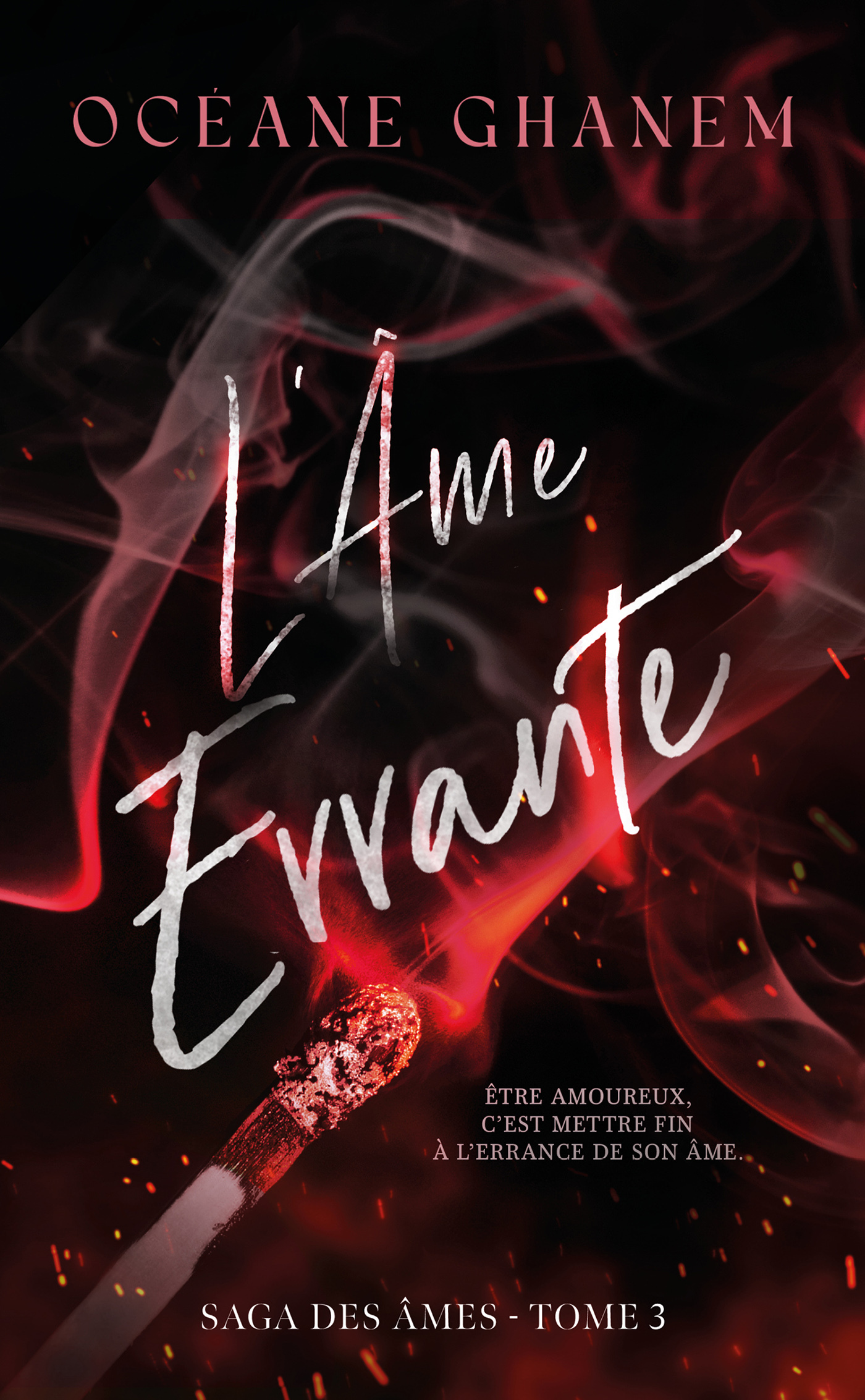 L'Âme Errante - Saga des Âmes Tome 3