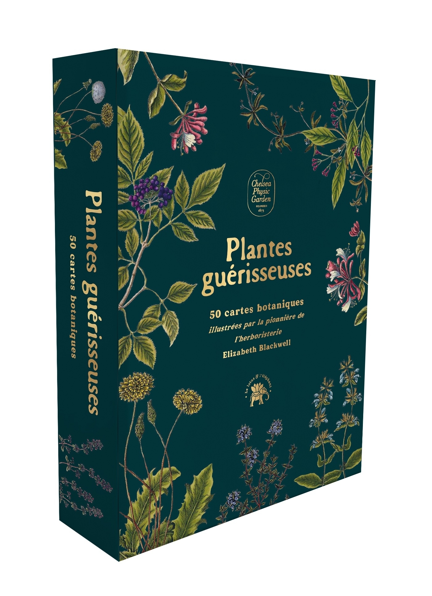 Plantes guérisseuses