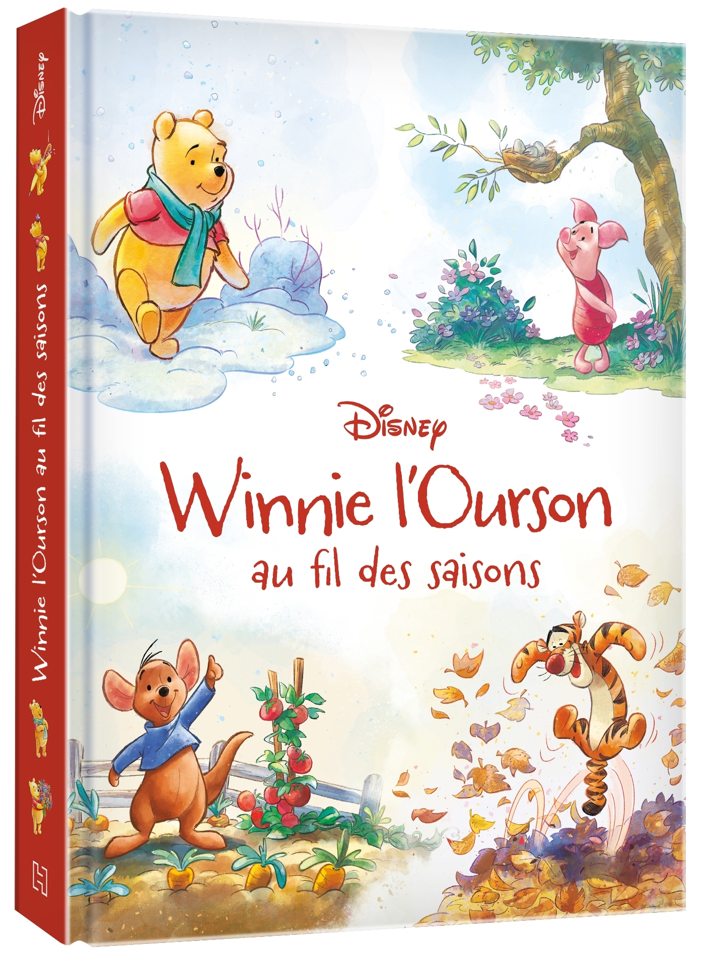WINNIE L'OURSON - Winnie au fil des saisons - DISNEY