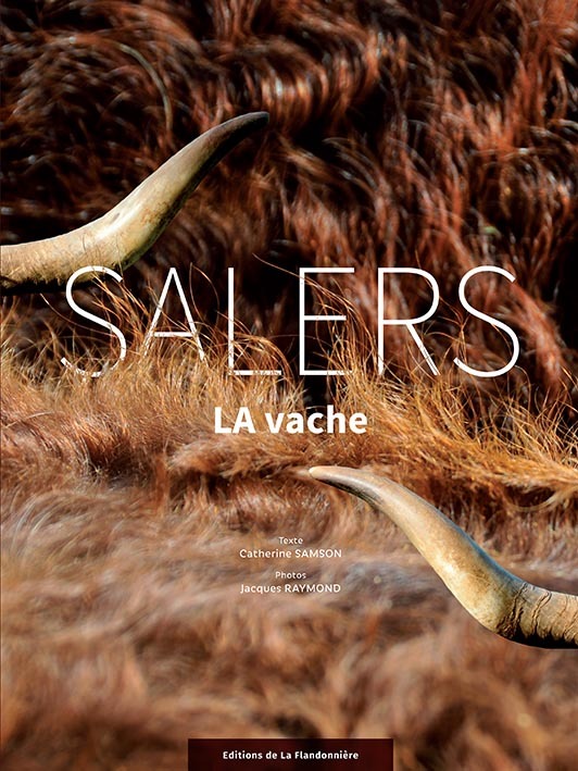 Salers - la vache