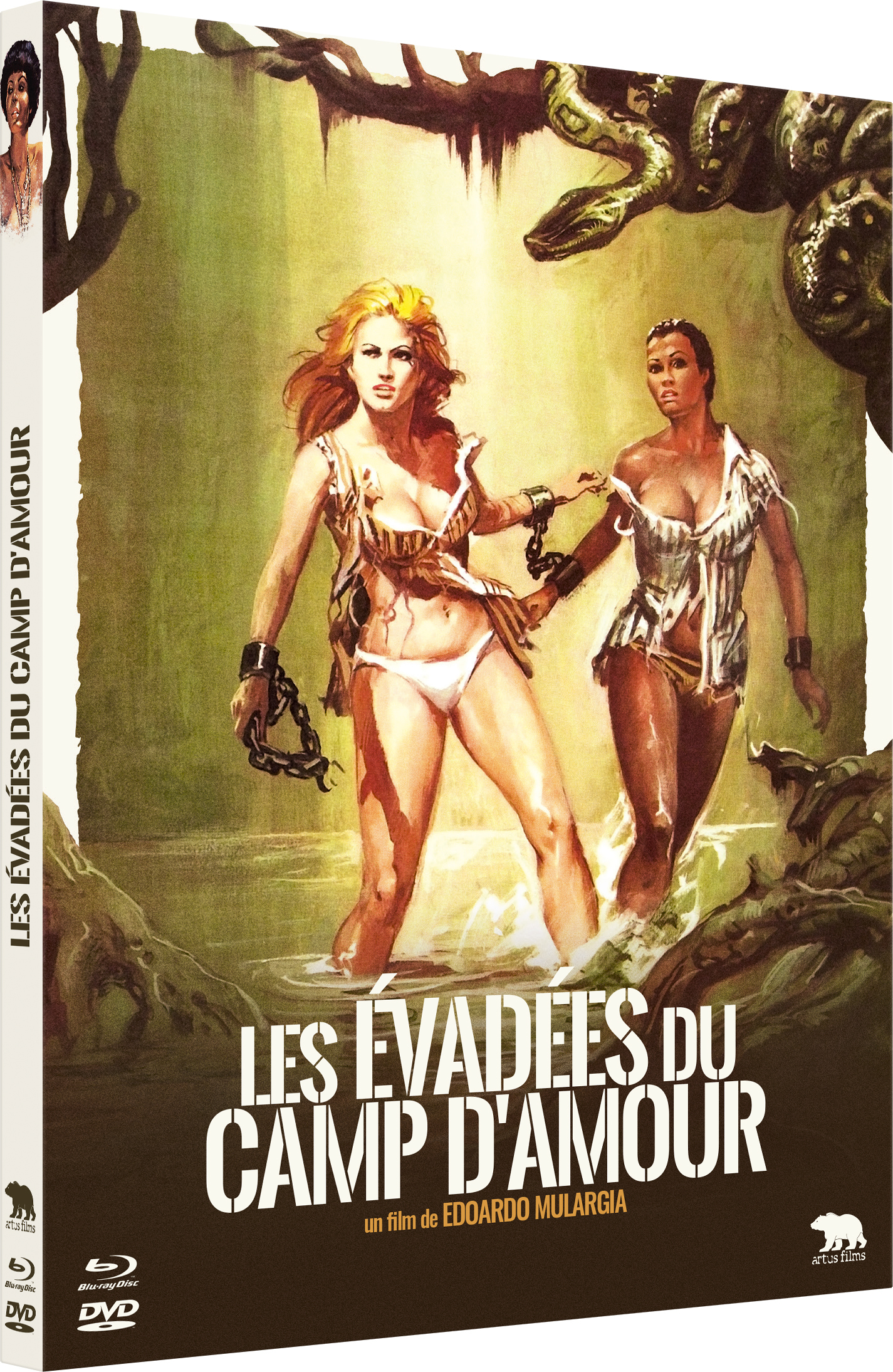 EVADEES DU CAMP D'AMOUR (LES) - COMBO DVD + BLU-RAY