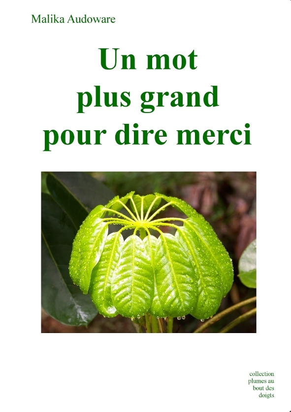 Un mot plus grand pour dire merci