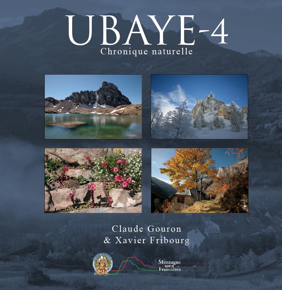 UBAYE 4 - Chronique naturelle