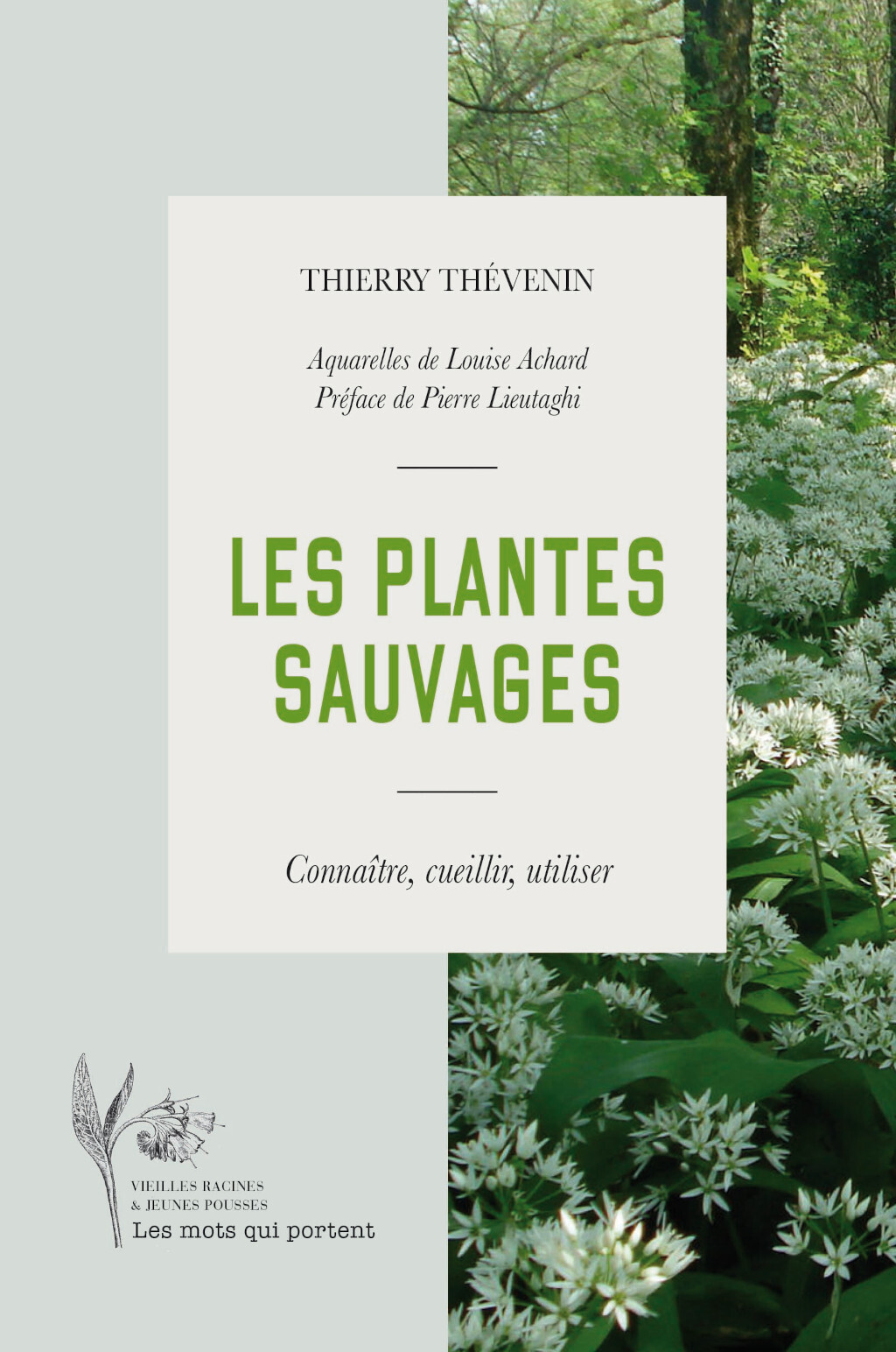 LES PLANTES SAUVAGES