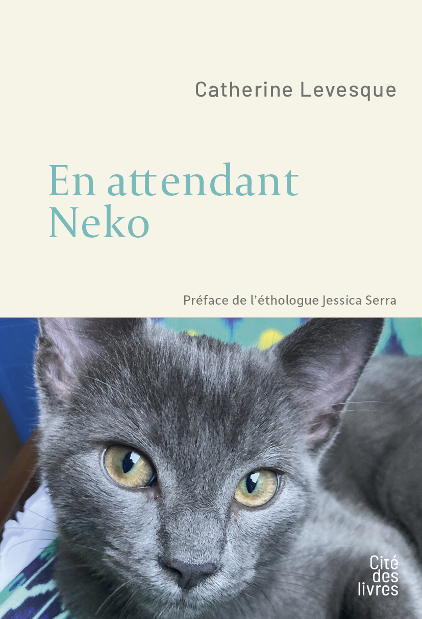 En attendant Neko
