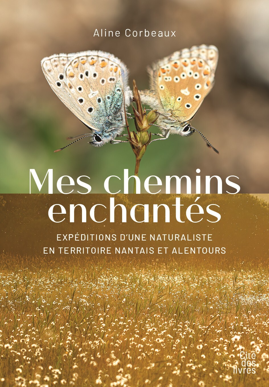 Mes chemins enchantés