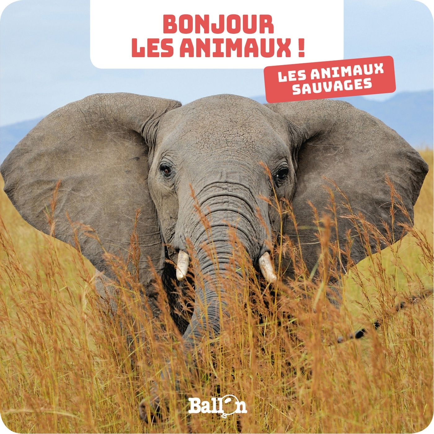 Bonjour les animaux : Les animaux sauvages