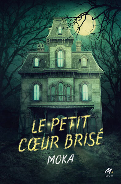 Le petit coeur brisé