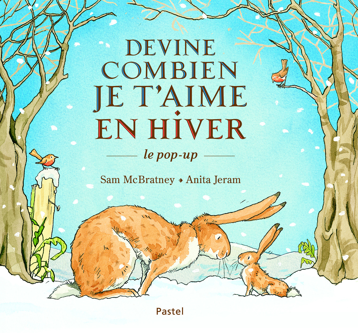 DEVINE COMBIEN JE T AIME EN HIVER LE POP UP