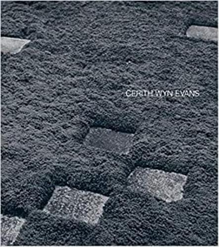 Cerith Wyn Evans /anglais