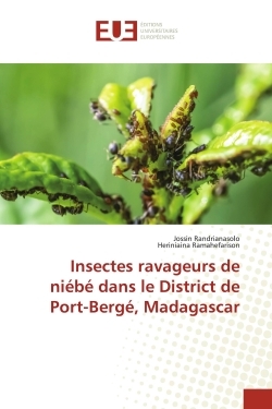 Insectes ravageurs de niébé dans le District de Port-Bergé, Madagascar