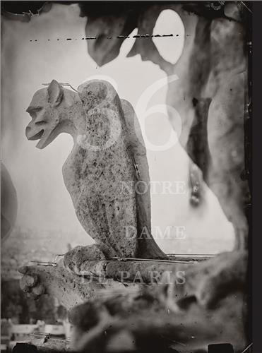 Tomas van Houtryve 36 Views of Notre Dame /anglais