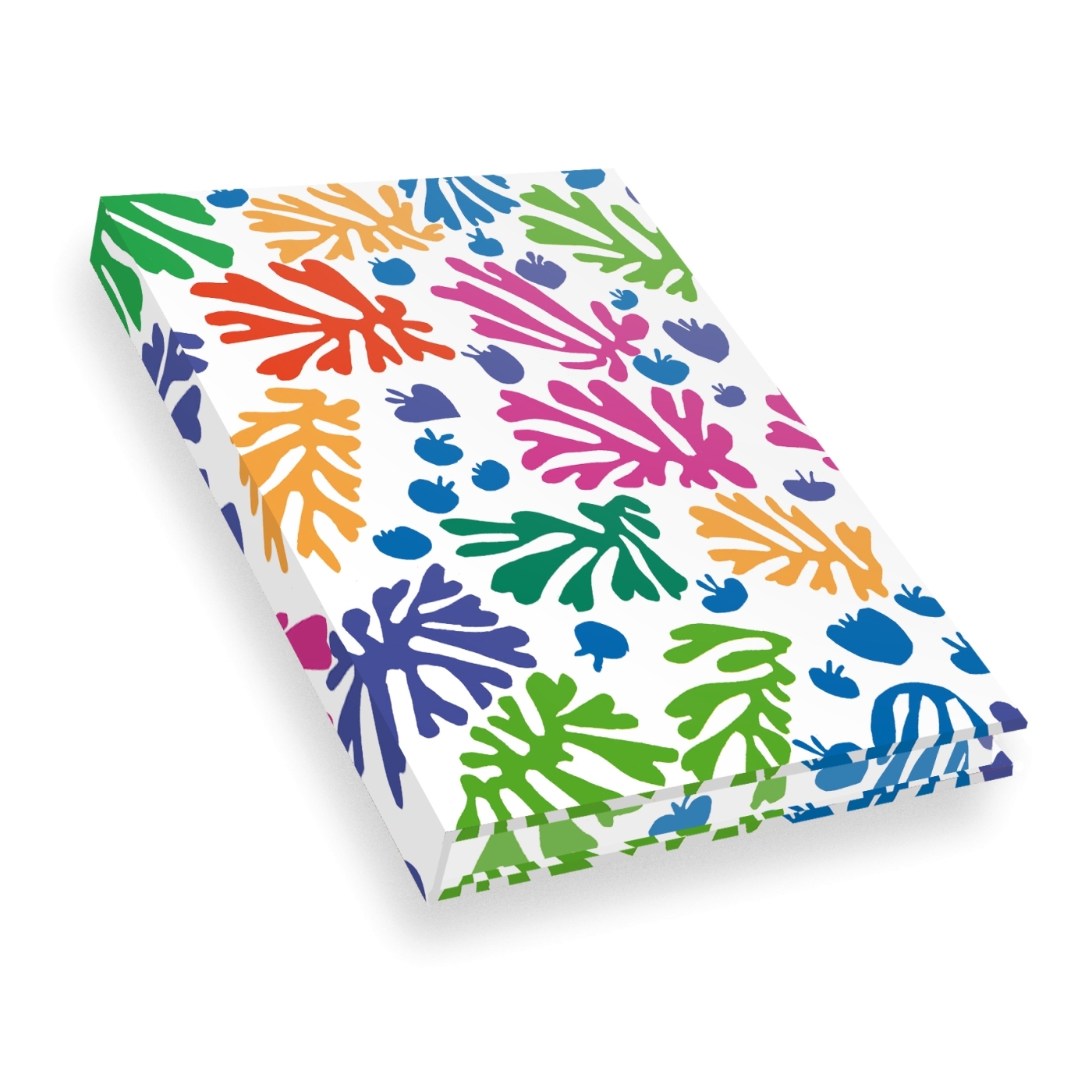 Carnet Hazan pleine toile.  Matisse La perruche et la sirène