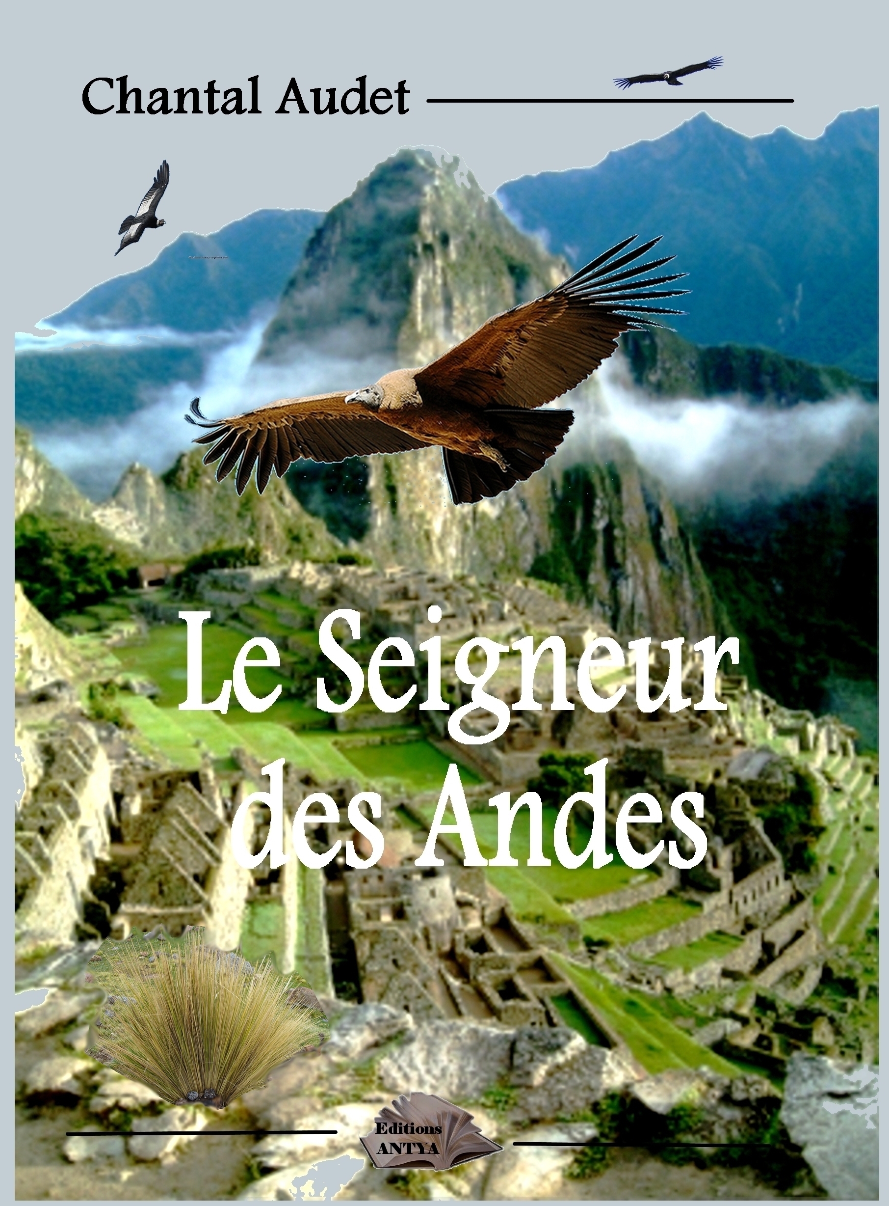 le seigneur des Andes