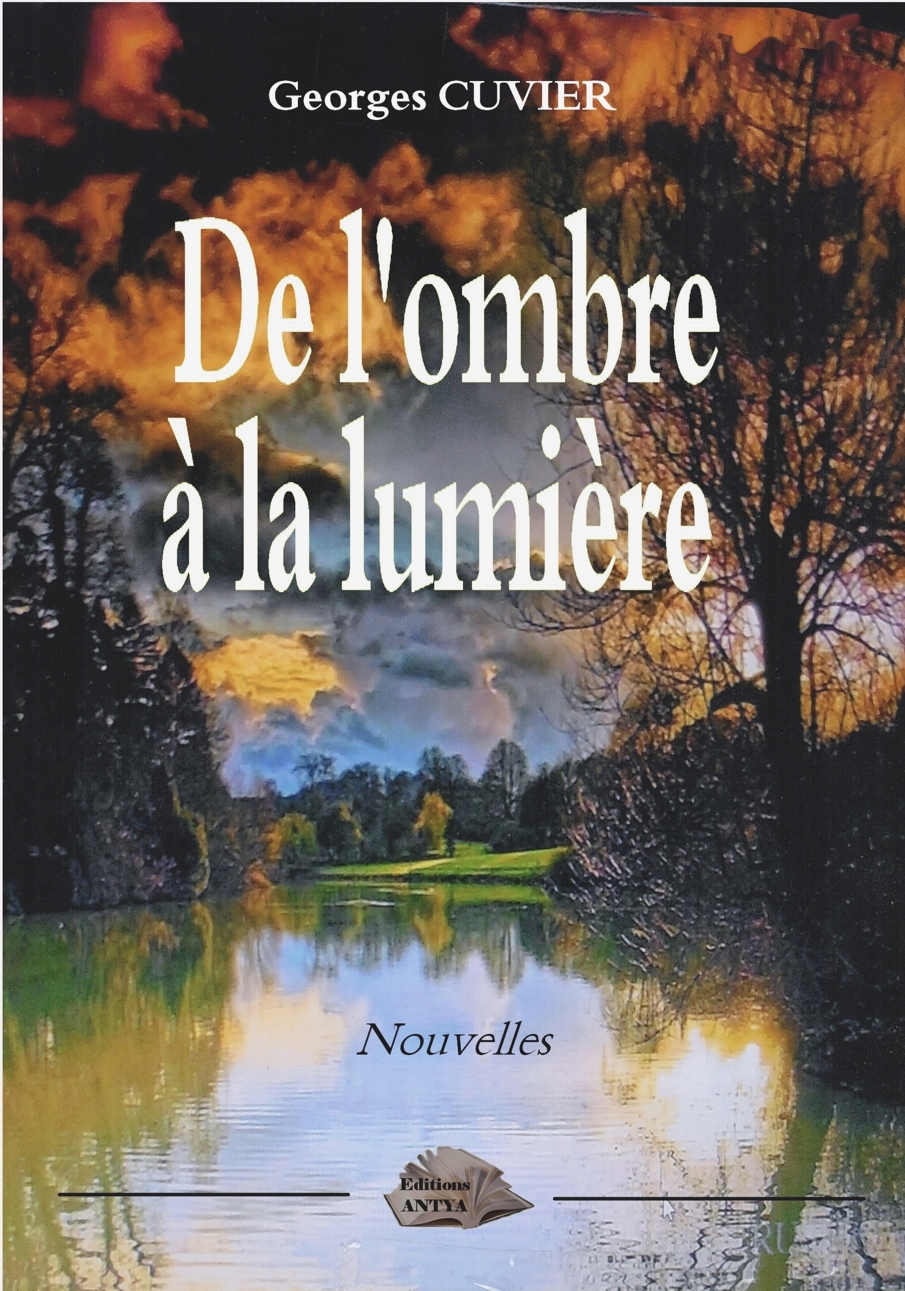 De l'ombre à la lumière
