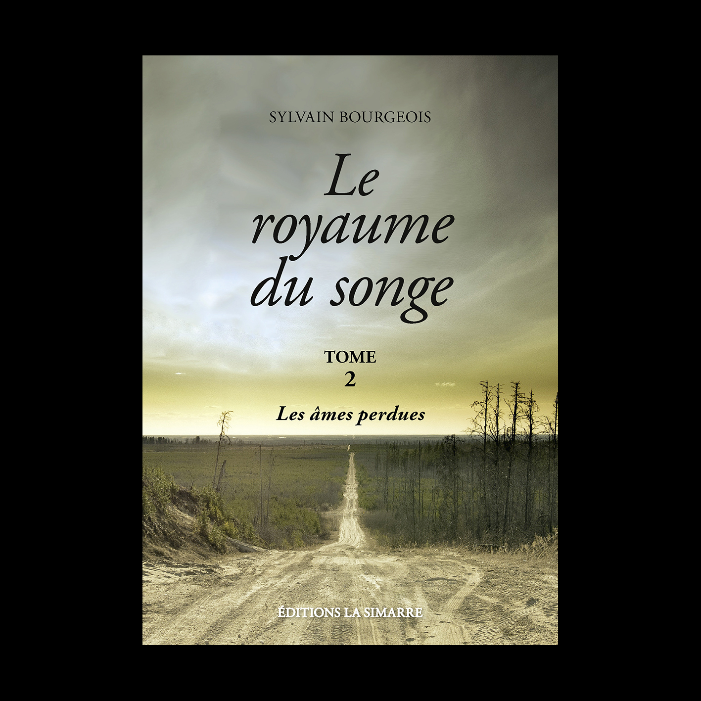 LE ROYAUME DU SONGE - TOME 2
