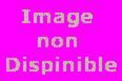 Le Vieux qui lisait des romans d'amour