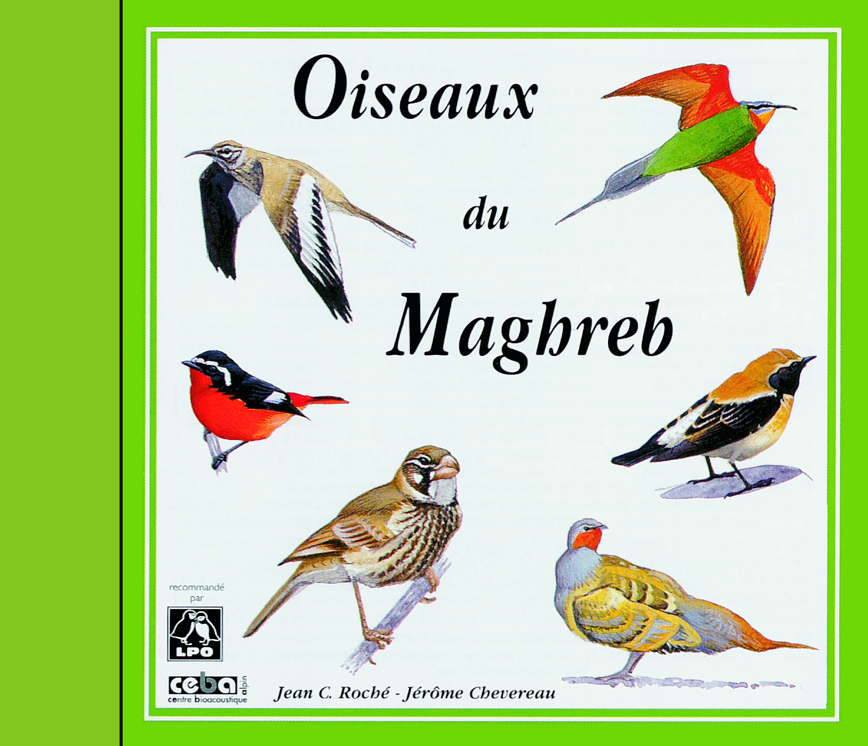 OISEAUX DU MAGHREB SUR CD AUDIO PAR JEAN C ROCHE ET JEROME CHEVEREAU GUIDE ORNITHOLOGIQUE