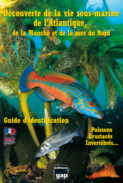 DEC DE LA VIE S/MARINE EN ATLANTIQUE - PLAQUETTEMANCHE ET MER DU NORD