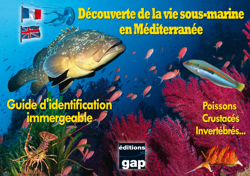 DEC VIE S/MARINE MEDITERANNEE GUIDE IMMERGEABLE JEU DE 8 TABLES