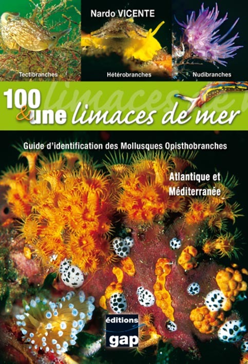 100 & une limaces de mer - guide d'identification des Mollusques Opisthobranches d'Atlantique et de Méditerranée