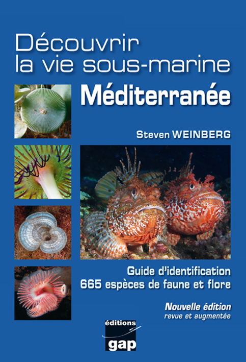 Découvrir la vie sous-marine - Méditerranée