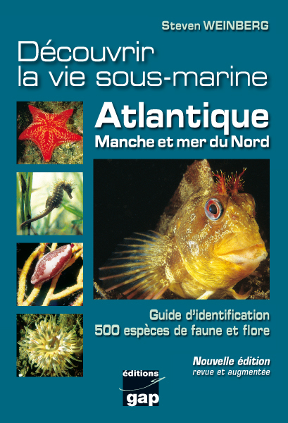Découvrir la vie sous-marine - Atlantique, Manche et mer du Nord