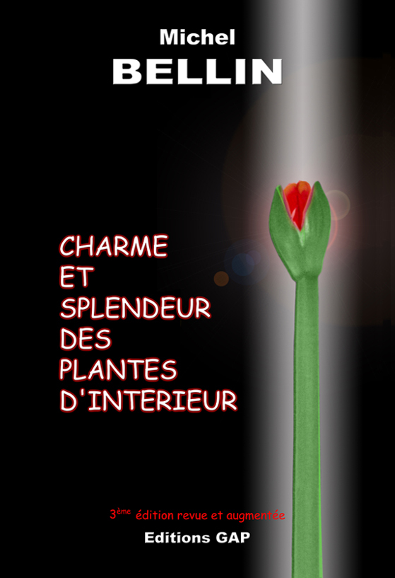 CHARME ET SPLENDEUR DES PLANTES D’INTÉRIEUR Nouvelles érotiques gays