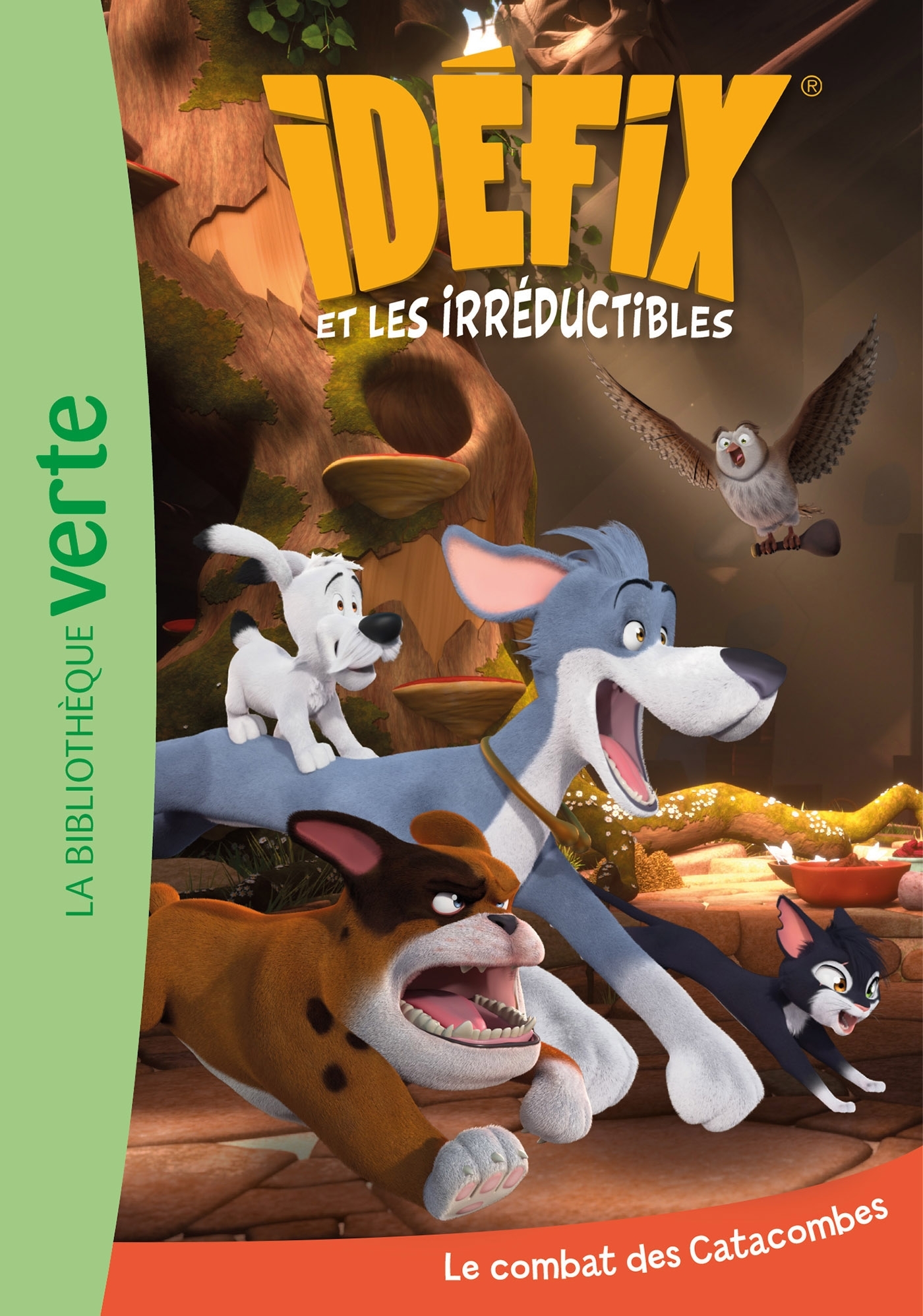 Idéfix et les Irréductibles 09 - Le combat des Catacombes