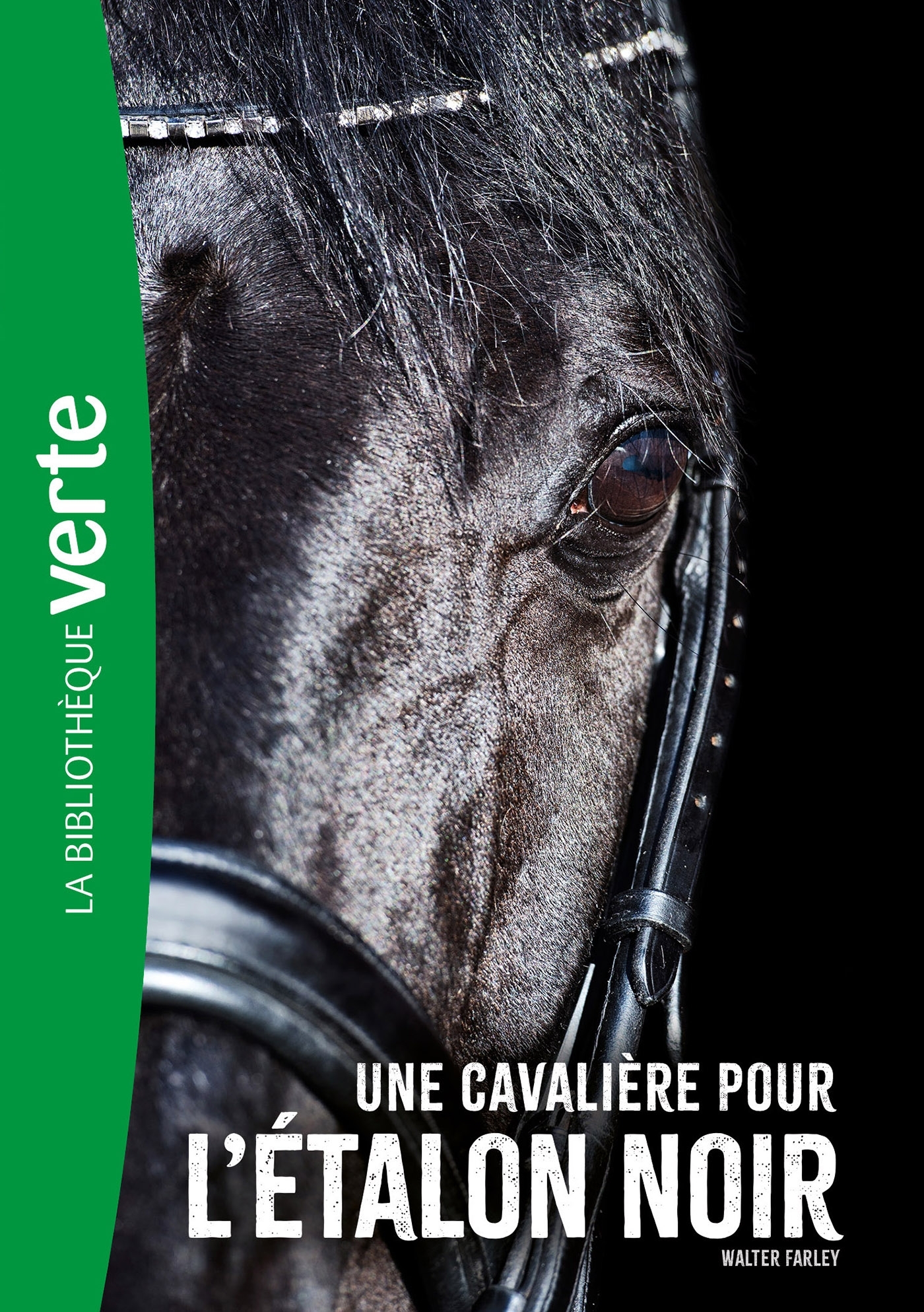 L'Etalon noir NED 18 - Une cavalière pour l'Etalon Noir