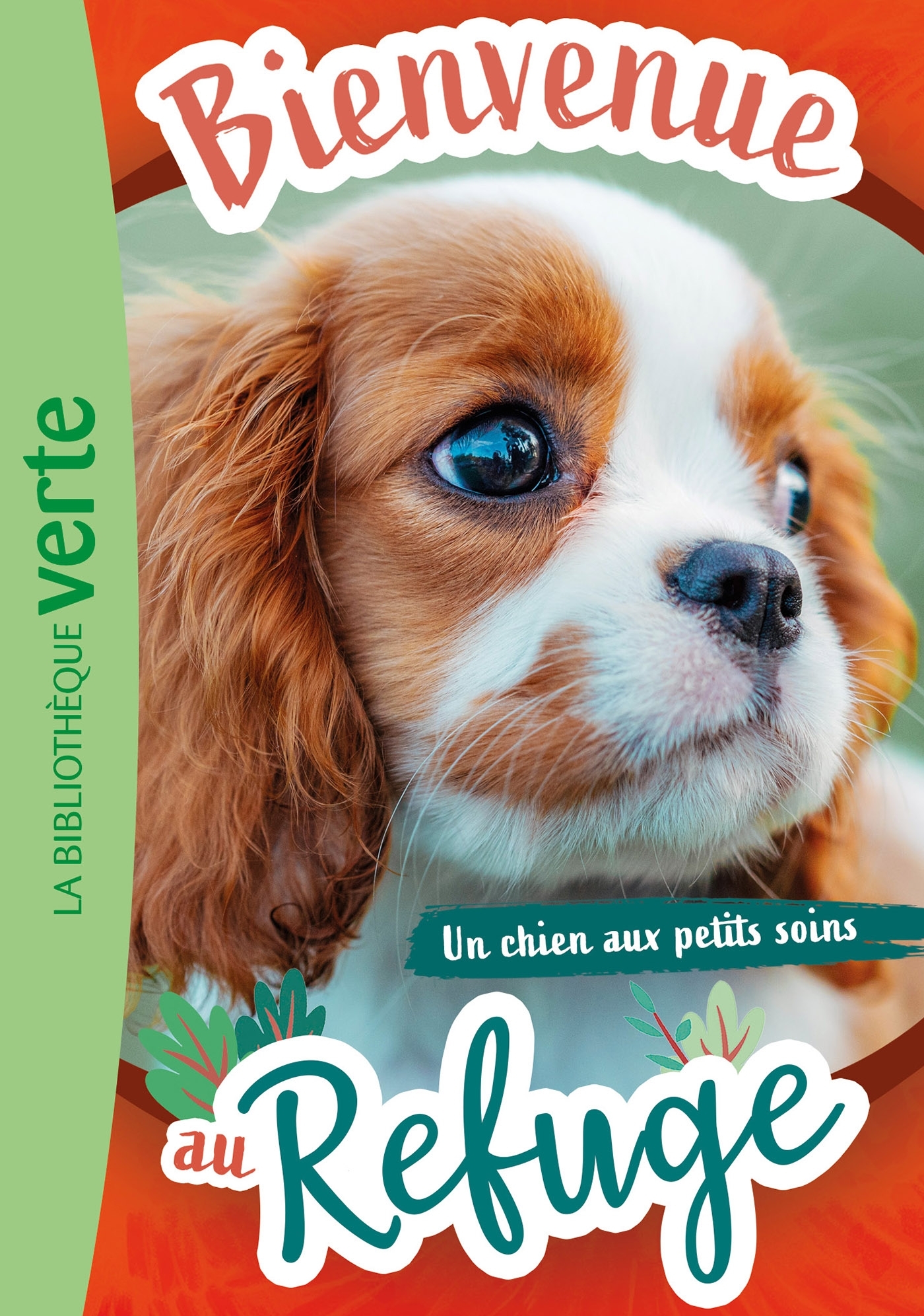 Bienvenue au refuge 13 - Un chien aux petits soins