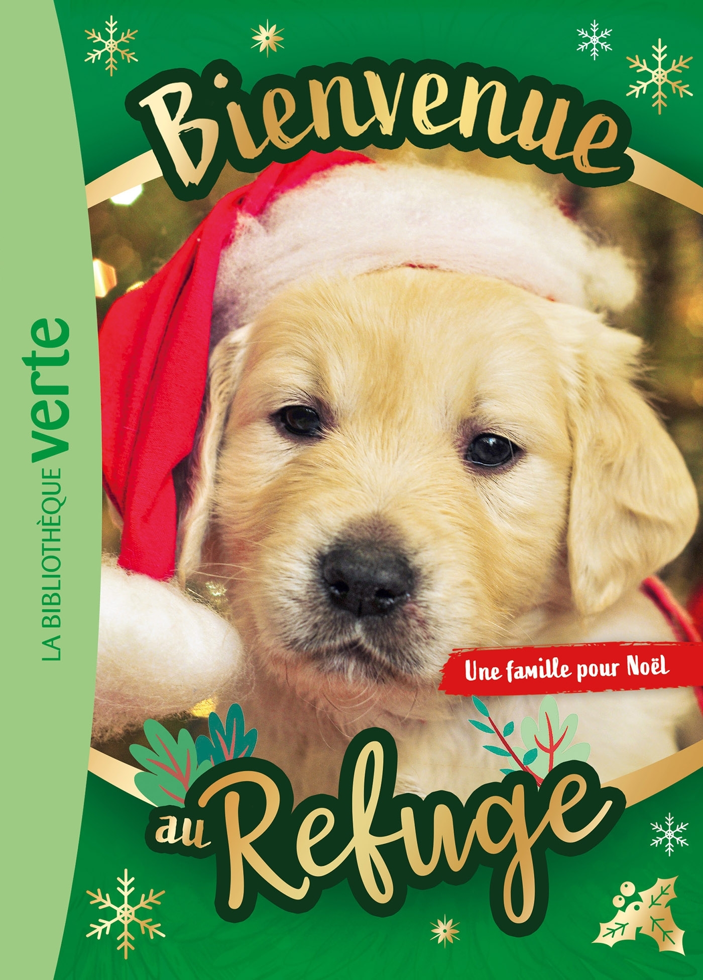 Bienvenue au refuge Hors-série XXL - Une famille pour Noël