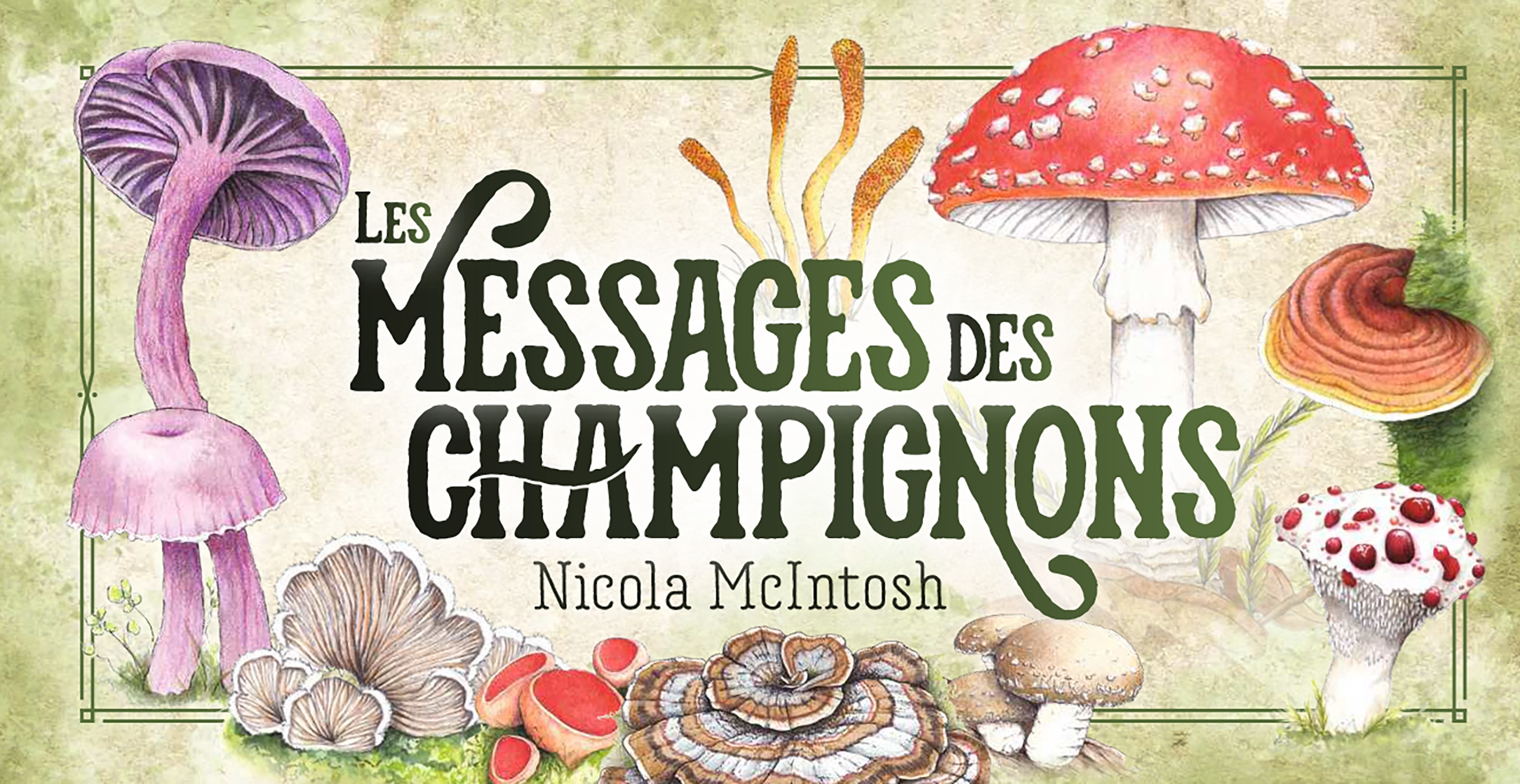 Mon oracle de poche : Les messages des champignons