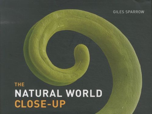 The Natural World Close-up