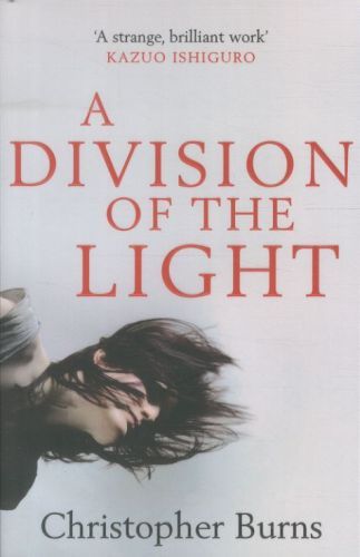 A DIVISION OF THE LIGHT