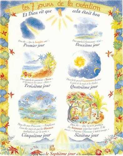 Poster - La Création