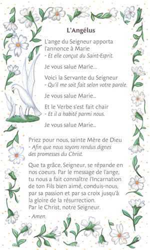 Lot de 25 - image Angélus